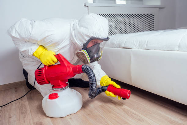 Best Pest Inspection Near Me  in Weed, CA
