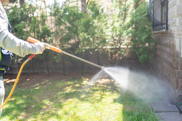 Best Best Pest Control Companies  in Weed, CA