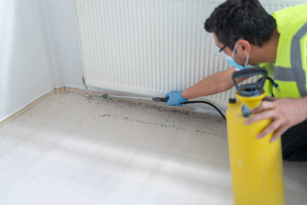 Best Commercial Pest Control Services  in Weed, CA